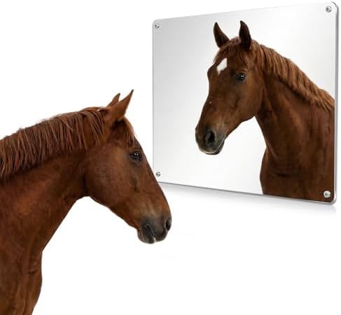 U0U Acrylic Horse Mirror,Safe Horse Toys for Horses to Play with,16.92x12.99 inch Stable Mirror for Horses to Play and Horse Enrichment Toys (16.92 x 12.99 inches/1pcs)