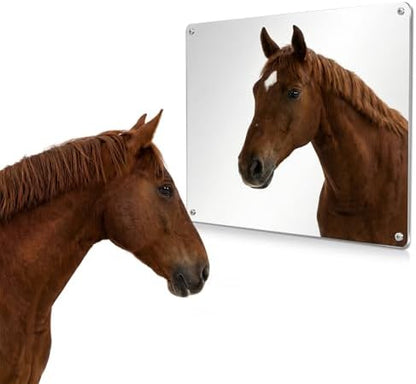 U0U Acrylic Horse Mirror,Safe Horse Toys for Horses to Play with,16.92x12.99 inch Stable Mirror for Horses to Play and Horse Enrichment Toys (16.92 x 12.99 inches/1pcs)