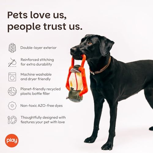 P.L.A.Y. Cute Plush Dog Toys - Camping, Outdoor Themed Durable Squeaker Chew Toy, Great for Puppies & Small, Medium, Large Dogs - Machine Washable, Recycled Materials (Camp Corbin Pack Leader Lantern)