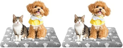 Dog Bed Mat – Soft & Comfortable Dog Kennel Pad for Crate – Durable Crate Bed & Mat for Dogs & Cats – Ideal for Crate, Kennel, and Home Use (Pack of 2)