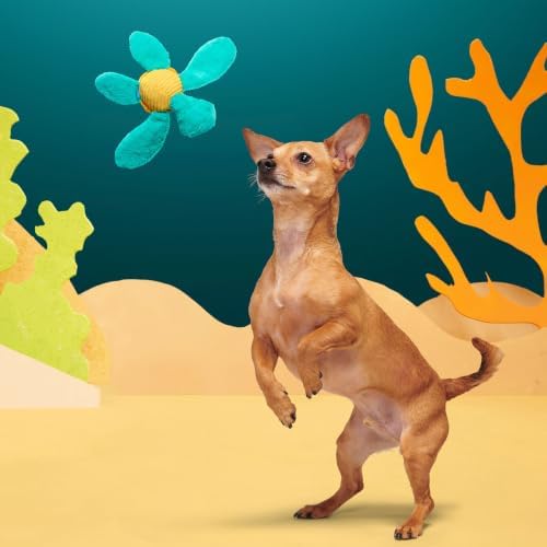 BarkBox Stevie Sea Turtle Dog Toy - Extra Small to Small Dogs