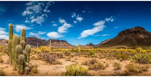 60x24 in Reptile Habitat Background Blue Sky Cactus Desert Tank Backdrop