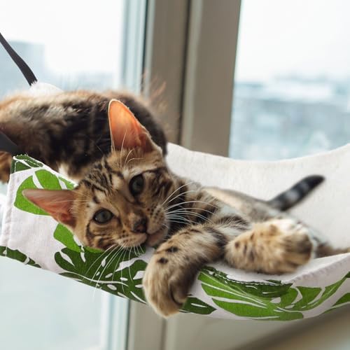 Jetec 2 Pack Cat Hammock for Cage, Monstera Leaf, M