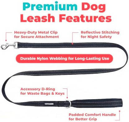 Best Pet Supplies Voyager Nylon Dog Leash - Black, Small