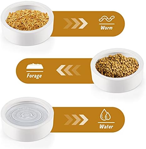 Reptile Food Dish Bowl 2Pcs Lizard Gecko Worm Water Bowls Small (2.75in)