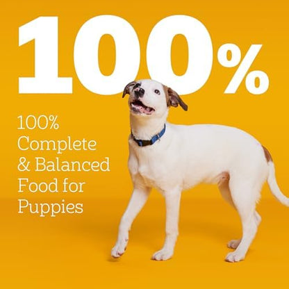 Pedigree Puppy Dry Dog Food, Grilled Steak & Vegetable, 3.5 lb