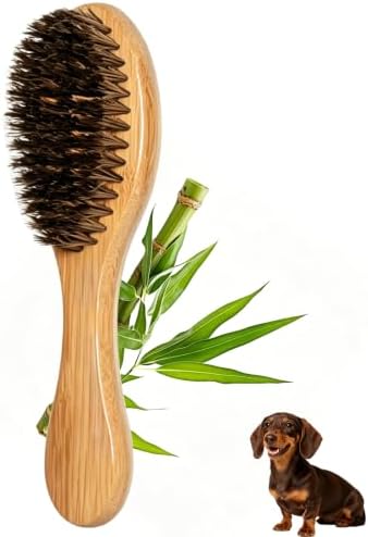 Soft Boar Bristle Short Hair Dog Brush, Fit Puppy, Kittens, Small Pets