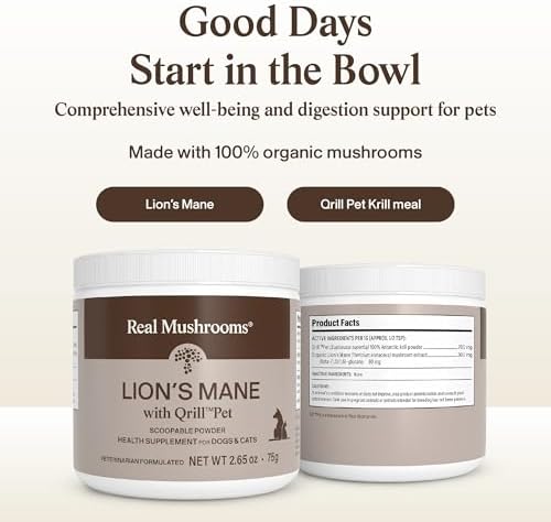 Real Mushrooms Lion’s Mane with Qrill Pet - Lion's Mane for Dogs and Cats with Krill Meal, Beta-Glucan Rich Mushroom Extracts for Immune, Digestion, and Brain Support for Puppies and Kittens, 75g