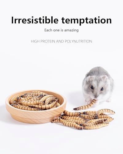 Niteangel Small Animal Snack & Treats - Freeze-Dried Worms & No Additive