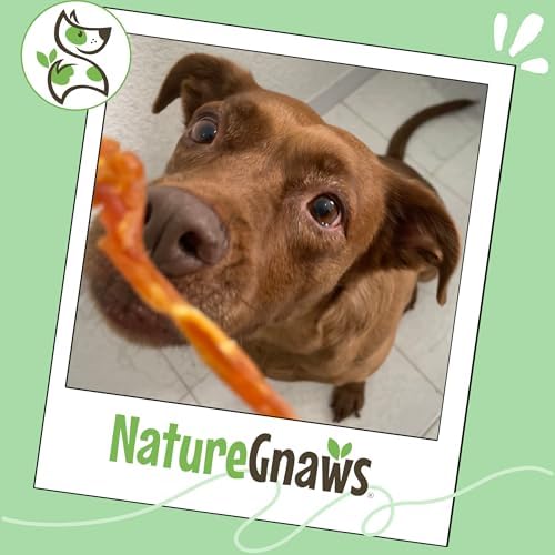 Nature Gnaws USA Turkey Tendons Dog Treats, 8 oz