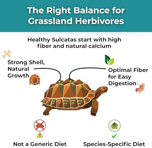 Sulcata Tortoise Calcium & Multivitamin Powder - Herpetologist Formulated Vitamin and Mineral Powder for Reptiles with High Fiber - 30 Day Supply in Shaker Bottle - Daily Nutrition for Strong Shell!