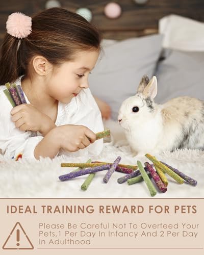 Bissap 22PCS Rabbit Chew Sticks, Natural Molar Treats for Small Pets