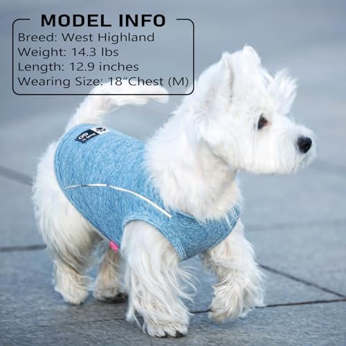 KYEESE 2Pack Reflective Dog Shirt, Lightweight Sun Protection Dog T Shirts for Small Medium Dogs Boy, Breathable Sleeveless Pet Tank Top Summer Dogs Clothes for Night Walking Outdoor, Grey+Blue, XL