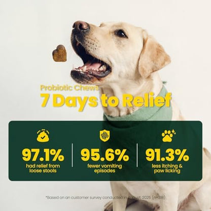 Probiotics for Dogs – 30 Billion CFU with Pre, Postbiotics & Digestive Enzymes – Supports Gut Health, Immunity, Loose Stools & Allergies – Filet Mignon Flavor – Vet Formulated – 60 Chews