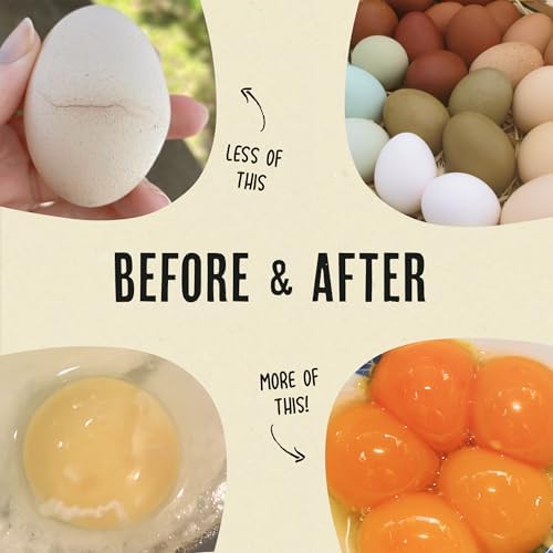 Roosty's Gold Dust Daily Egg Booster Chicken Supplement, 16oz