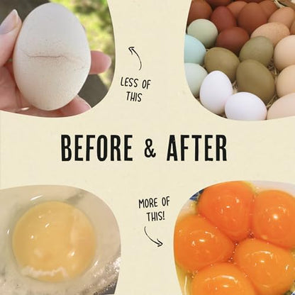 Roosty's Gold Dust Daily Egg Booster Chicken Supplement, 16oz