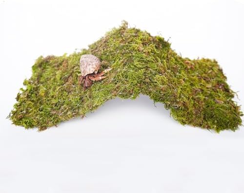 Hermit Crab Climbing Toys, 13.5 inch Bendable Climbing Bridge, Ideal Hermit Crab Supplies for 10 Gallon Hermit Crab Tank