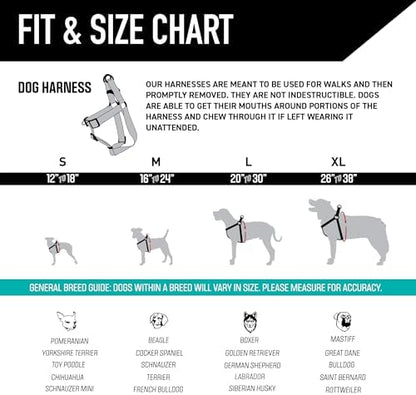 Wolfgang Heavy Duty Adjustable Dog Harness, Pull-Tested to Over 800 lbs for Walking & Training, Overland Print, Extra Large