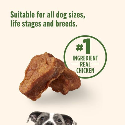 Nutrish Savory Roasters Dog Treats with Chicken, 12 oz. Pouch (Rachael Ray)