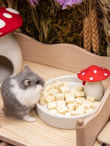 Niteangel Hamster Feeding & Food Bowls: Mushroom Ceramics & Chew-Resistant