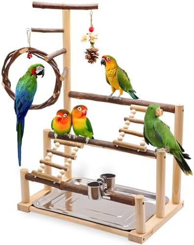 Bird Playground Wooden Parrot Stand for Small and Medium Birds