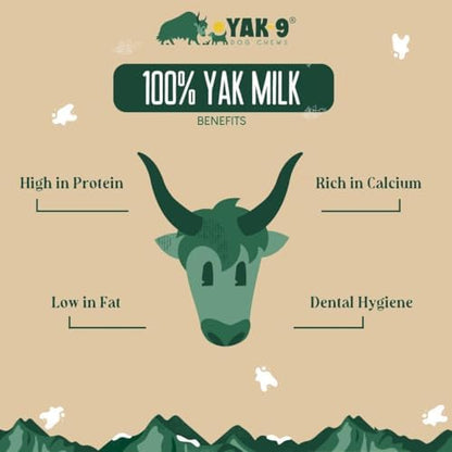 Yak9 Yak Cheese Himalayan Dog Chews | High Protein, Non Rawhide Dog Chews Long Lasting | Non GMO, Gluten Free, Grain Free | Medium Cow & Yak Milk Dog Chew, 2 PC