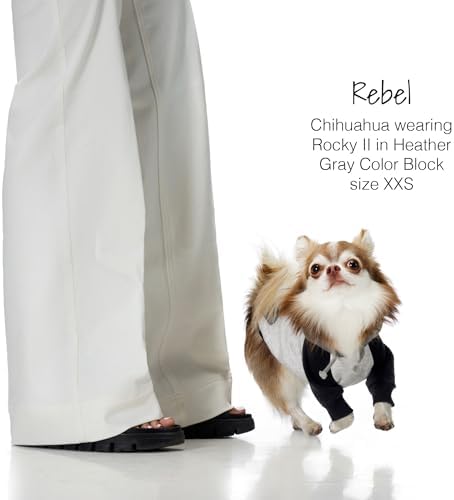 Pet Passion Rocky II Dog Hoodie, Heather Gray Color Block, XXX-Small