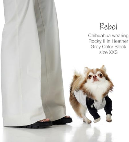 Pet Passion Rocky II Dog Hoodie, Heather Gray Color Block, XXX-Small