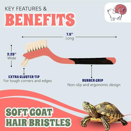Turtle Cleaning Brush - Gently Remove Dirt from Turtles and Tortoises - Blue by Snout and Shell