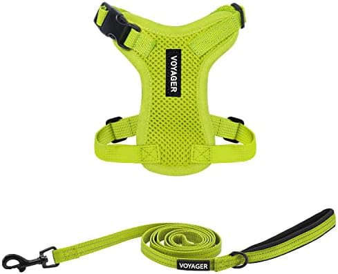 Best Pet Supplies Voyager Step-in Lock Pet Harness w Reflective Pet Leash Combo Set with Neoprene Handle 5ft - Supports Small, Medium and Large Breed Puppies/Cats - Lime Green Set, XXS