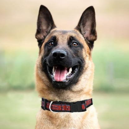 Pets First NFL Tampa Bay Buccaneers Licensed PET COLLAR, Extra Large - Heavy-Duty, Strong, and Durable Dog Collar. Available in 31 Football Teams and 4 Sizes