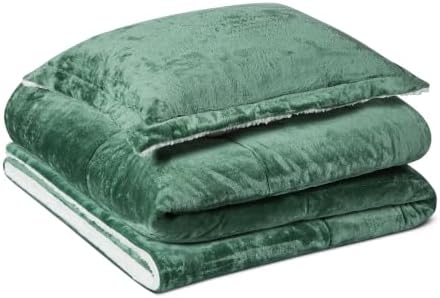 Amazon Basics Reversible Sherpa Comforter Set with Pillow Sham, Twin/Twin XL, Green