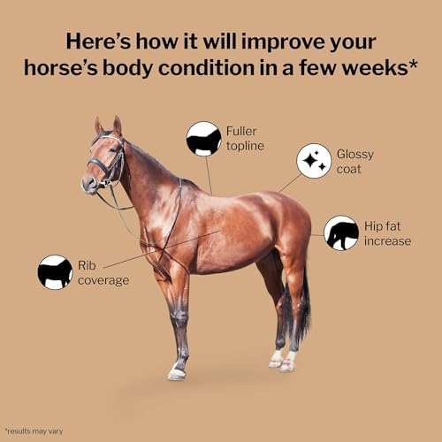 Formula 707 Weight Gain Crumble Fresh Packs for Horses, 28-Day Supply