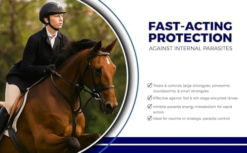 Horse Paste 10% – 25g Syringes – Oral Deworming Paste for Horses of All Ages – Easy-to-Administer Equine Care (Pack of 2)