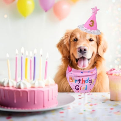 Dog Girl Birthday Party Hat, Dog Birthday Party Supplies