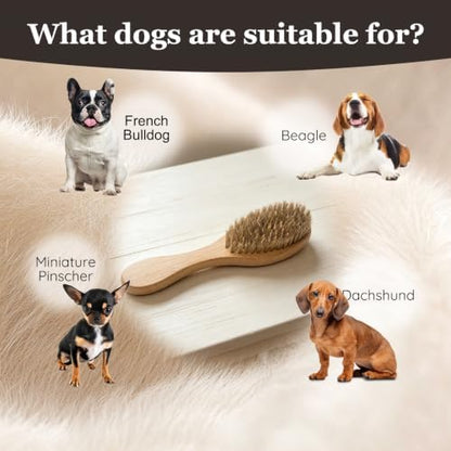 Soft Boar Bristle Short Hair Dog Brush, Fit Puppy, Kittens, Small Pets