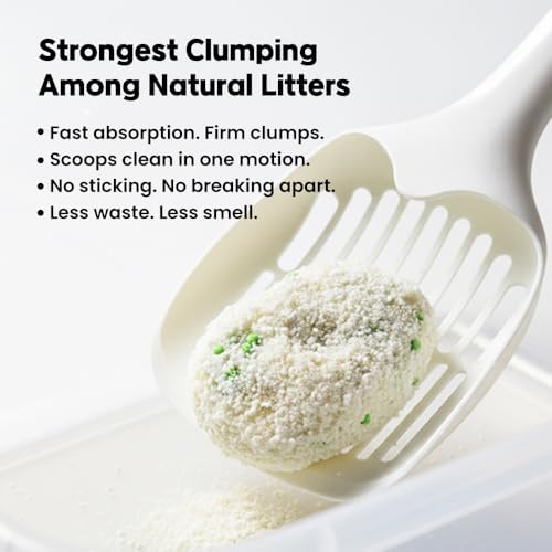 Cassava Litter, Spherical,Clumping Cat Litter, No Odor,Low Dust Cat Lotter,Natural Ingredient,Plant-Base,Loved by Cats,Safe, Gatos,Mixable with Clay or Various Cat Litter