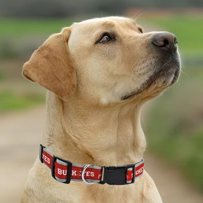 Pets First Collegiate PET Collar NEW Version Ohio State Buckeyes Dog Collar, Size Large. Best Sports Team Color for Dogs & Cats. A Shiny & Colorful Dog & Cat Collar Licensed by The NCAA