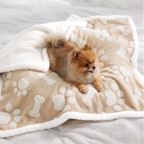 LE SURE Waterproof Dog Blankets for Small Dogs Cute Cozy 3D Jacquard,25x35