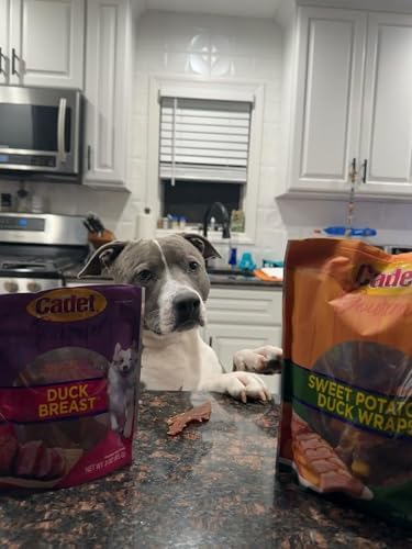 Cadet Gourmet Sweet Potato & Duck Wrapped Biscuits Dog Treats, 28 oz