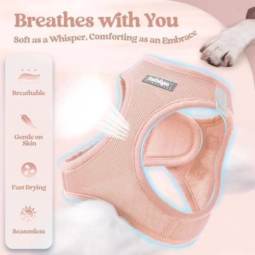 rabbitgoo Dog Harness Medium Sized and Leash Set, Step-in Puppy Pet Vest