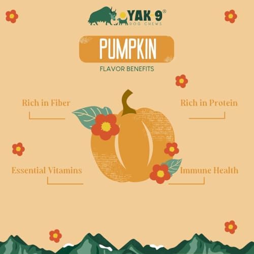 Yak9 Yak Cheese Himalayan Dog Chews, Pumpkin | High Protein, High Fiber Pumpkin Treats for Dogs | Long Lasting, Non GMO, Gluten Free, Grain Free | Medium Size, 7 PC