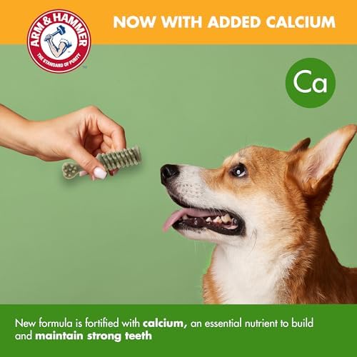 Arm & Hammer Nubbies Dental Dog Treats, Mint Flavor, 62 Count Bucket
