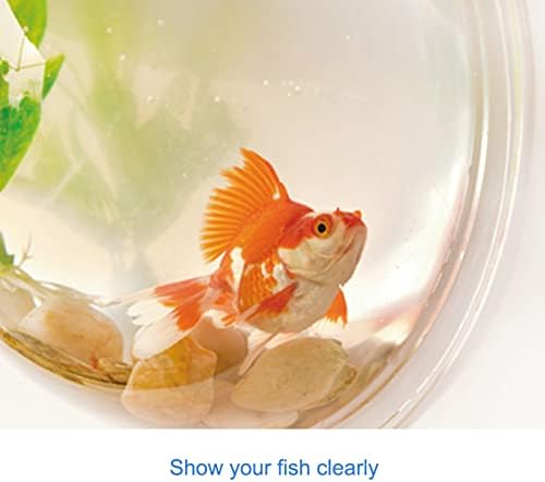 YUHOME Home Decoration Wall Mount Fish Tanks Goldfish Bowl Acrylic Hanging Aquariums Flowerpot Flower Vase, 150mm diameter & type 1