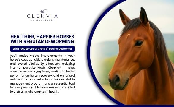 Horse Paste 10% – 1 Pack – 25g Syringes – Oral Deworming Paste for Horses of All Ages – Easy-to-Administer Equine Care