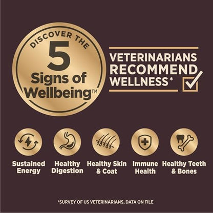 Wellness CORE Digestive Health Age Advantage Senior Dry Dog Food, Wholesome Grain Kibble, Sensitive Stomach, Natural, High Protein, Chicken and Brown Rice Recipe, 4 lb Bag