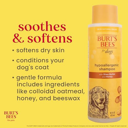Burts Bees for Pets Hypoallergenic Dog Shampoo, 16 Fl Oz, 6-Pack