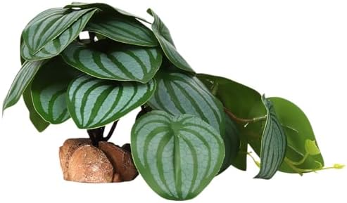 Fake Calathea Orbifolia Reptile Terrarium Plants for Gecko Frog