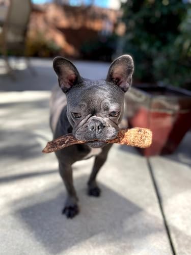 Redbarn Pet Products Bully Slices for Dogs French Toast Natural Dental Treats 12 Bags