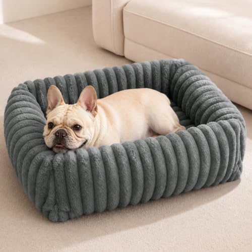 FURTIME Washable Dog Bed for Small Dogs, Cat Beds for Indoor Cats, 20"